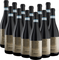 San Silvestro Appassimento Passito Piemonte Barbera DOC - Sartirano 12er Vorteilspaket