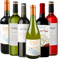 Vorschau: 6er Kennenlernpaket - Weine aus Uruguay