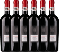 6er Vorteils-Weinpaket - Appassimento - Conte di Campiano