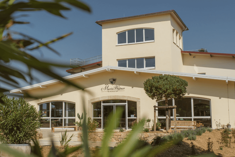 A adega de Martin Waßmer A adega de Martin Waßmer