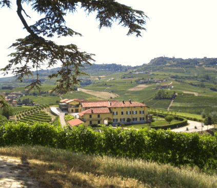 Vinícola Cordero di Montezemolo Vinícola Cordero di Montezemolo