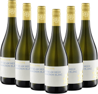 Vorschau: Ein Tag am Meer Sauvignon blanc seco - Weingut lampulo - 6x pacote degustação