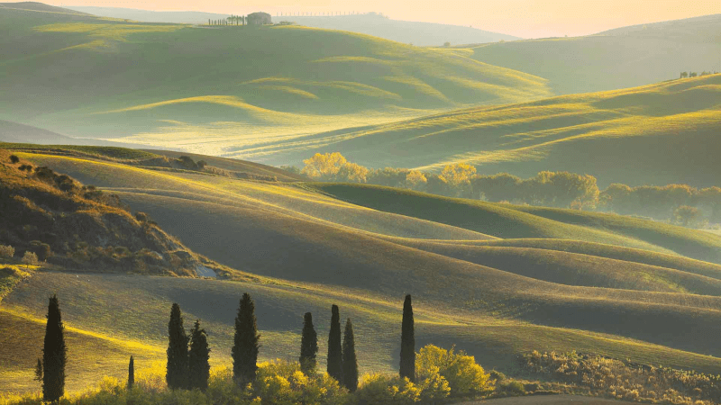 Die Hügel der Toskana - Heimat von Le Chiantigiane Die Hügel der Toskana - Heimat von Le Chiantigiane
