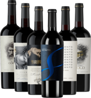 Os rostos de Jumilla - pacote de degustação com 6 garrafas da Ego Bodegas