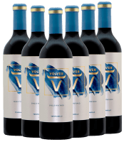6x Vorteils-Weinpaket Volver Single Vineyard La Mancha DO - Bodegas Volver