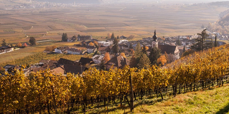 Nals Margreid Weinberge Mazzon