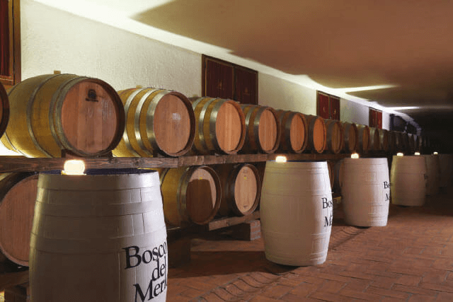 Im Weinkeller von Bosco del Merlo