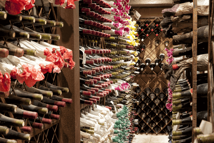 Im Weinkeller von Chateau Sixtine