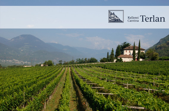 Vinhos Cantina Terlan