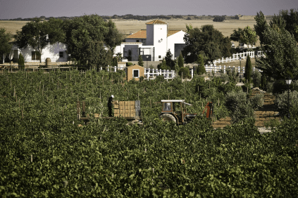 Sorgsame Lese bei los Aljibes